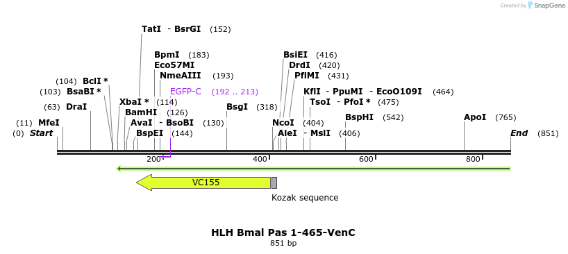 69446_map