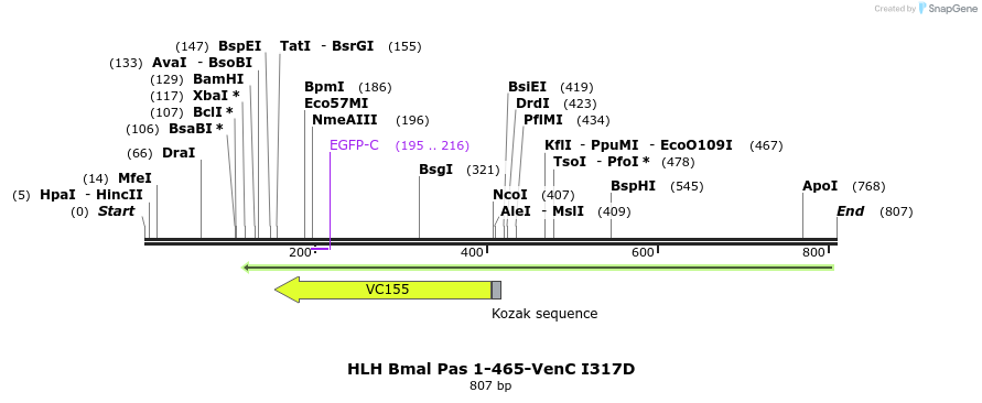 69451_map