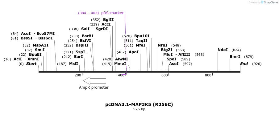 69469_map