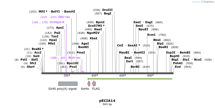 69474_map
