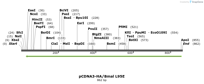 69475_map