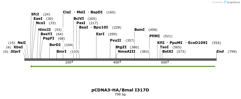 69477_map