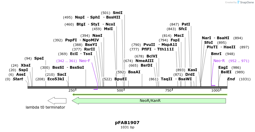 69482_map