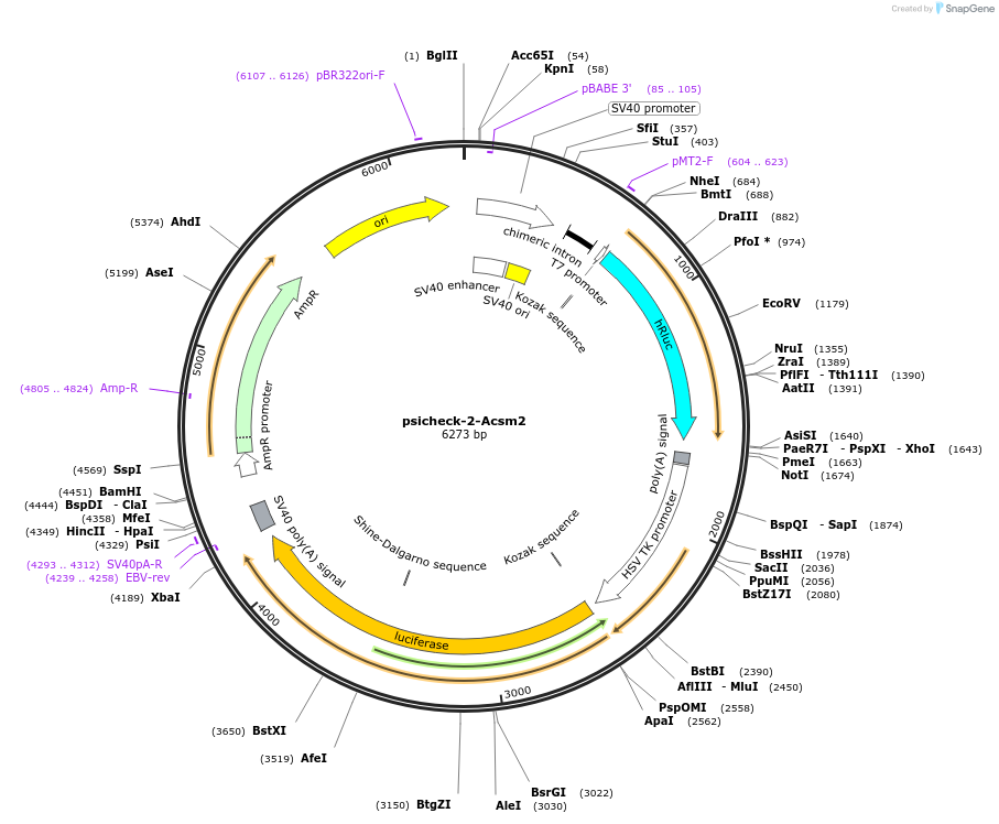 48158-plasmid-map-sequence-id-69483