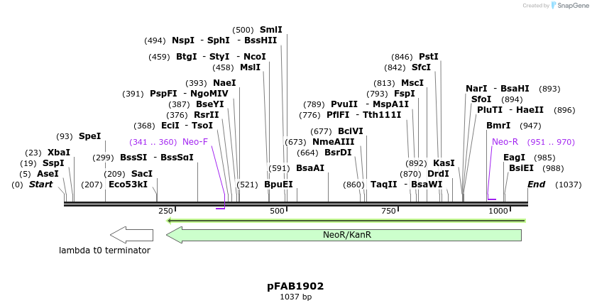 69486_map