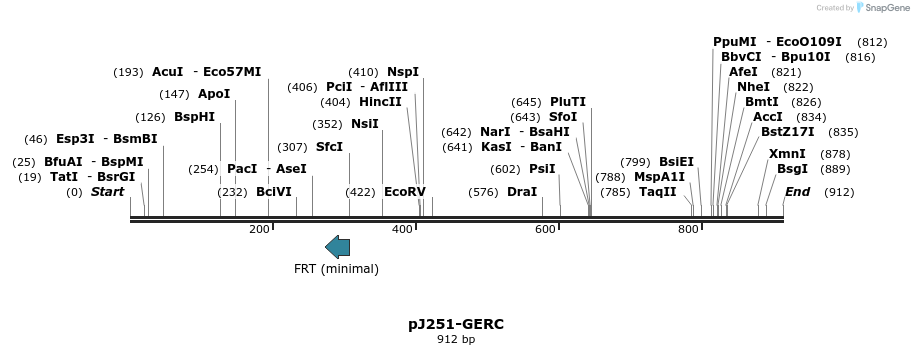 69489_map