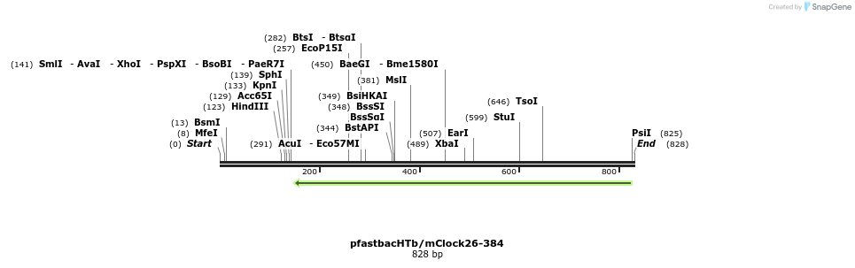 69498_map
