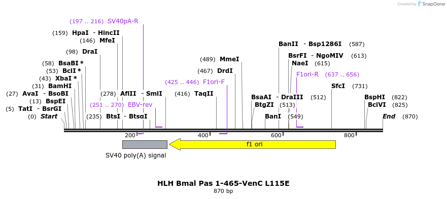 69502_map