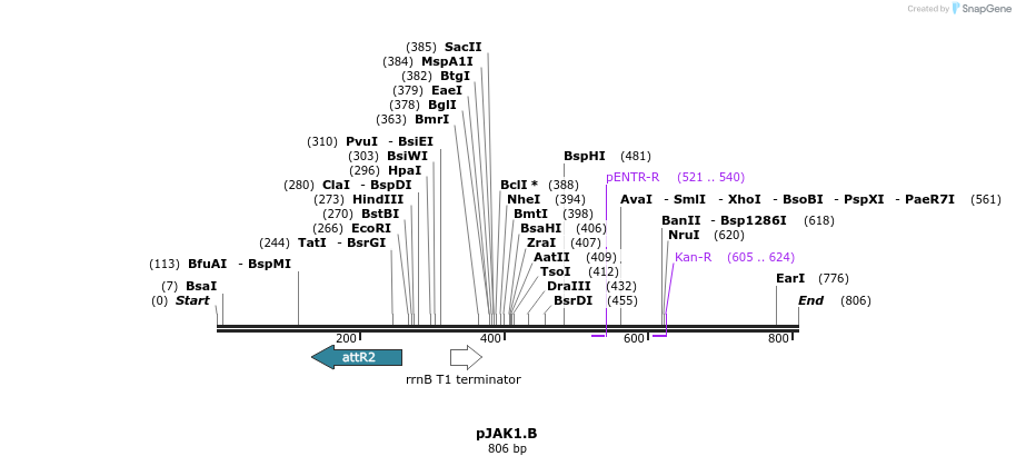 69515_map