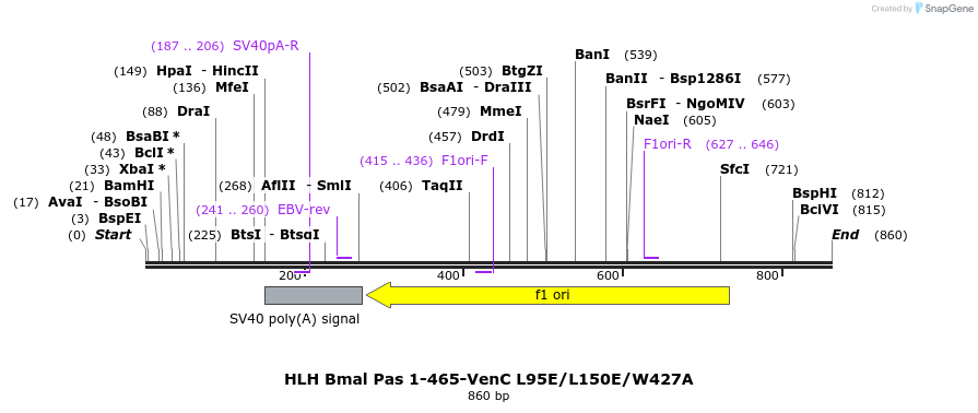 69521_map