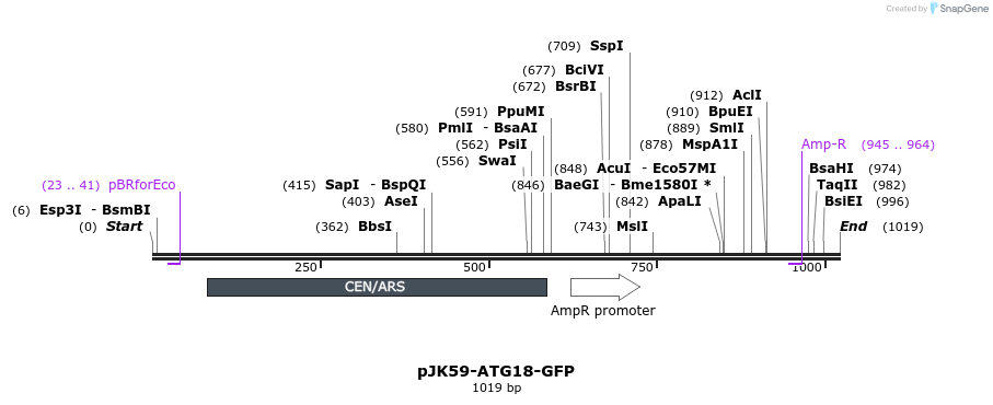 69530_map