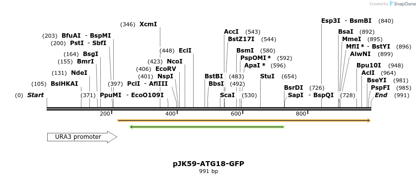 69533_map