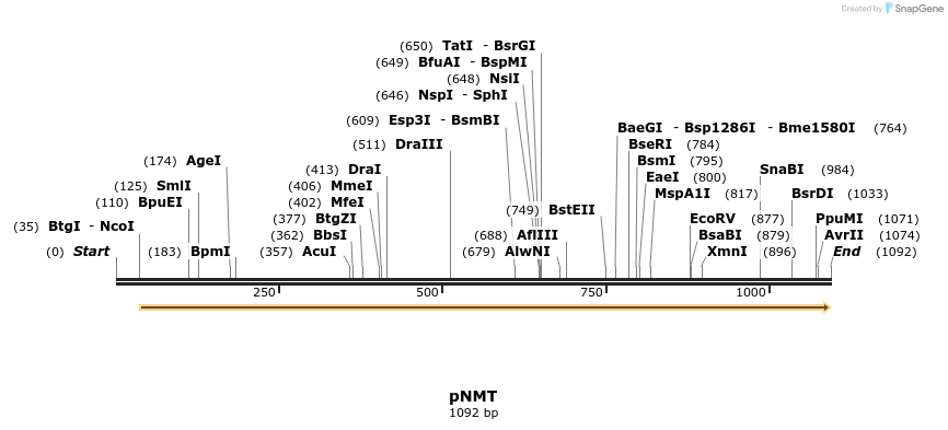 69534_map