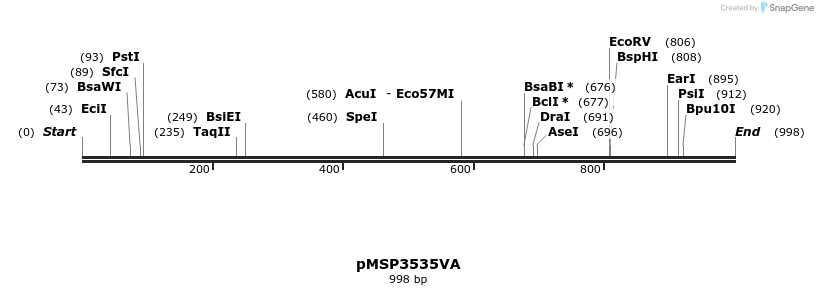 69536_map