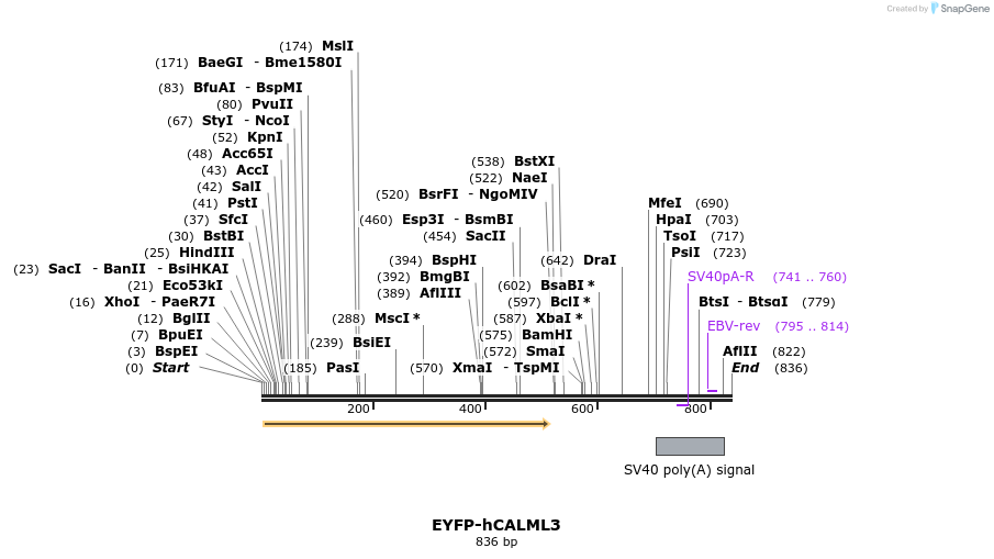 69558_map