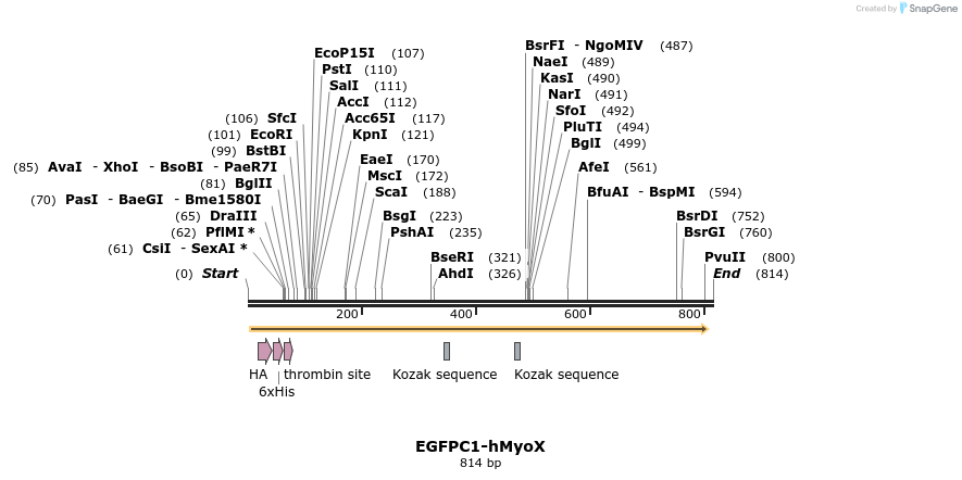 69560_map