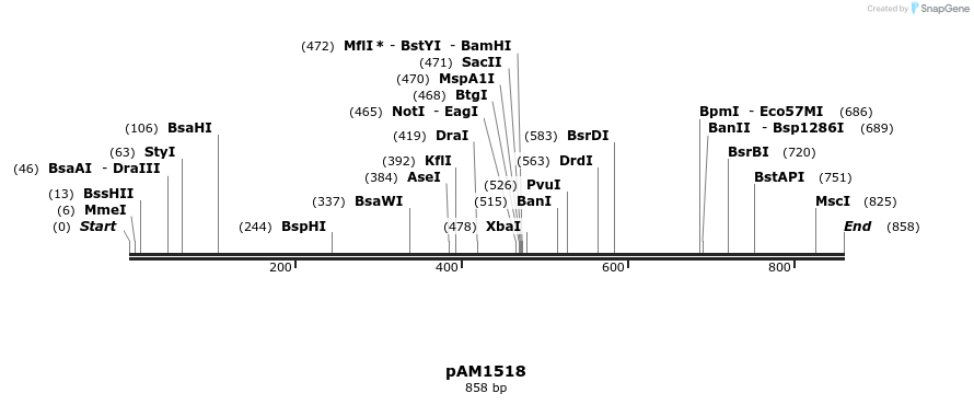 69565_map
