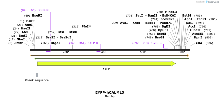 69566_map