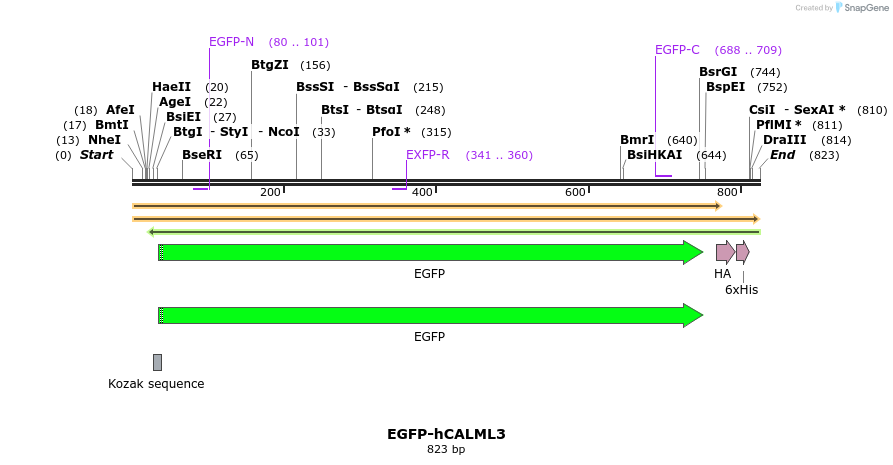 69568_map