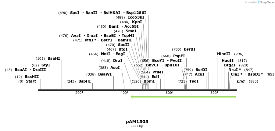69572_map