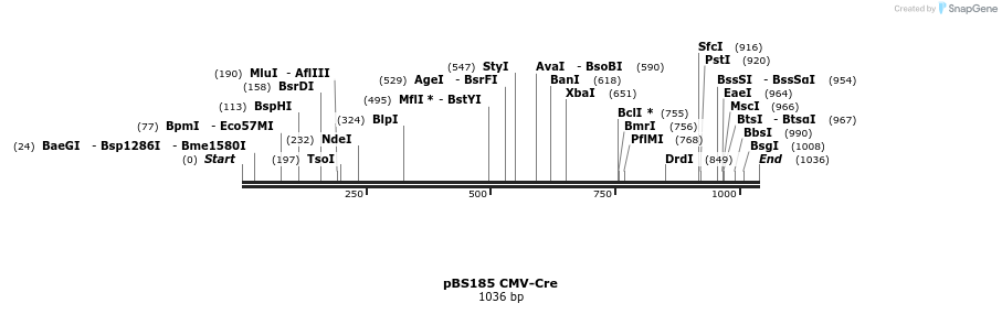 69581_map
