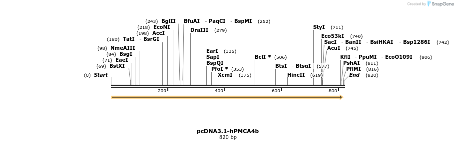 69586_map
