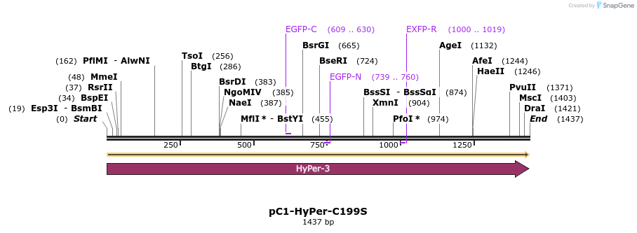 69588_map