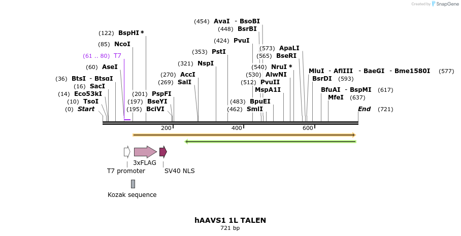 69592_map