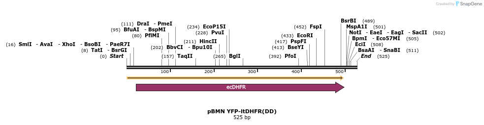 69597_map