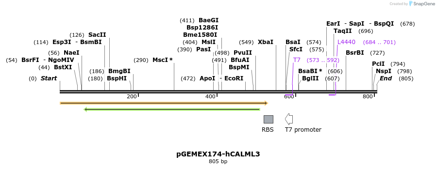 69598_map
