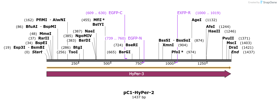 69600_map