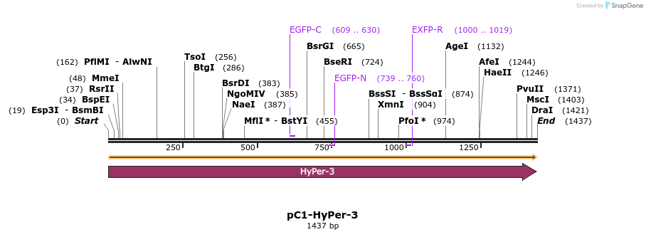 69602_map