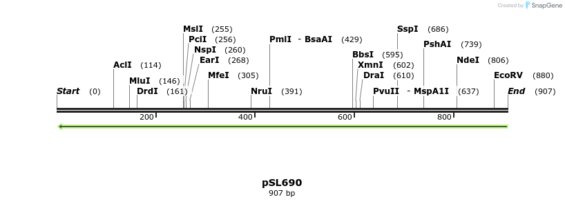 69620_map