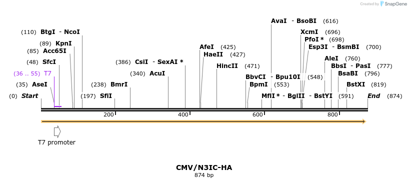 69645_map