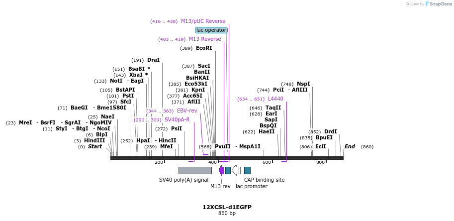 69655_map