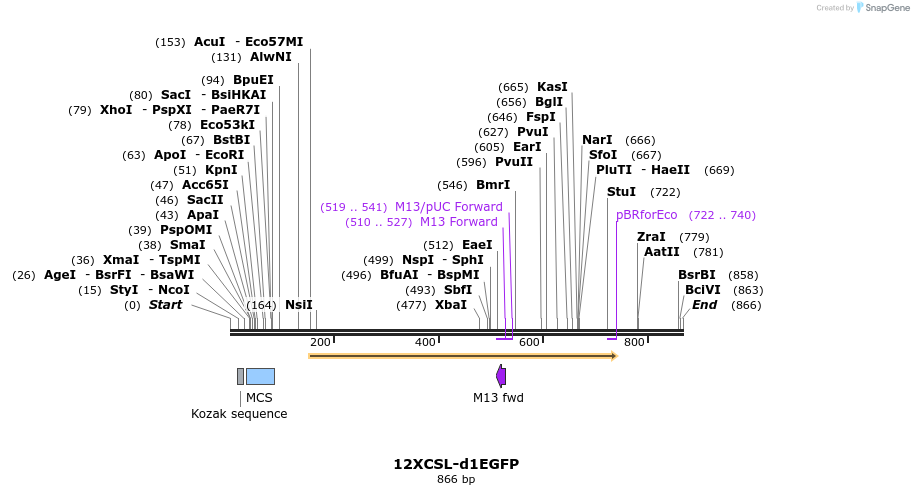 69656_map
