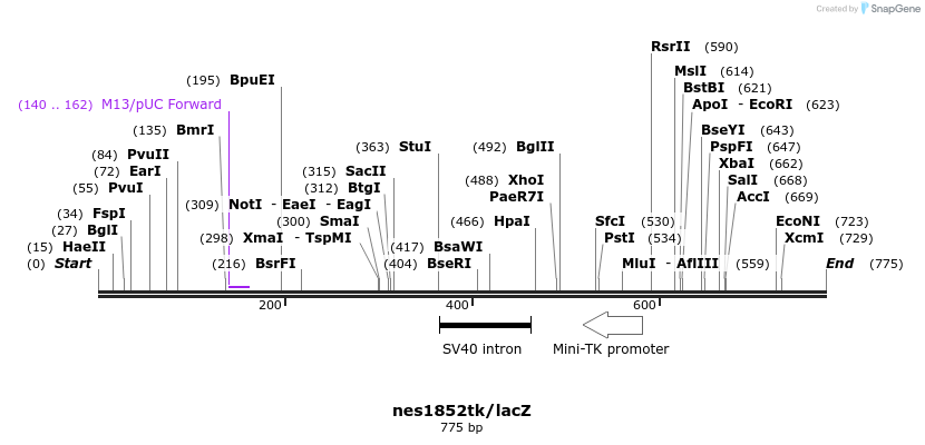 69658_map