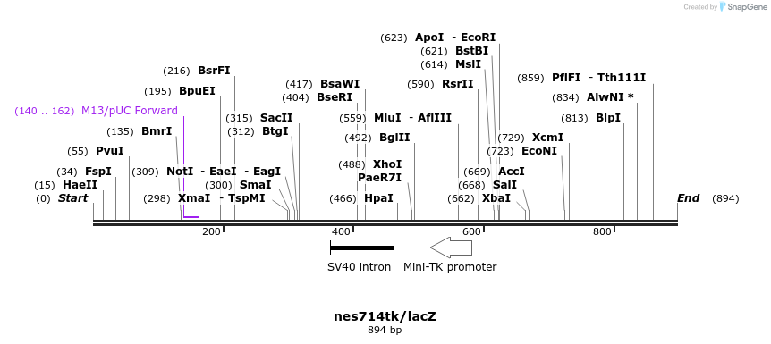 69662_map