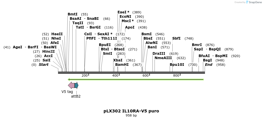 69669_map