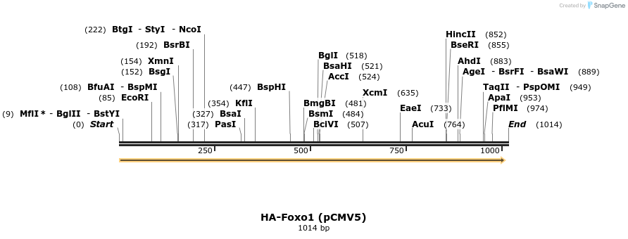 69673_map