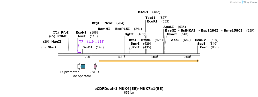 69677_map