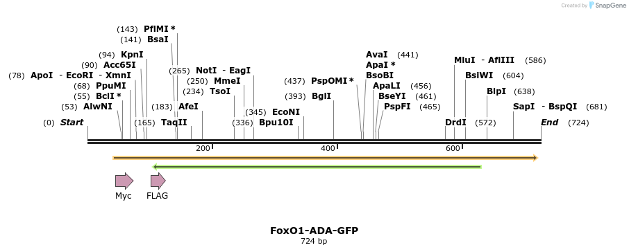 69683_map