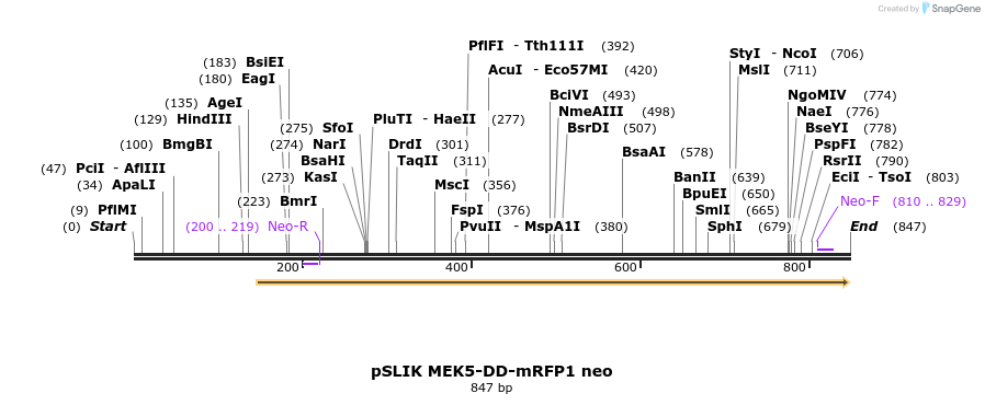 69685_map