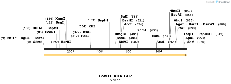 69689_map