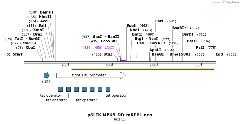69690_map