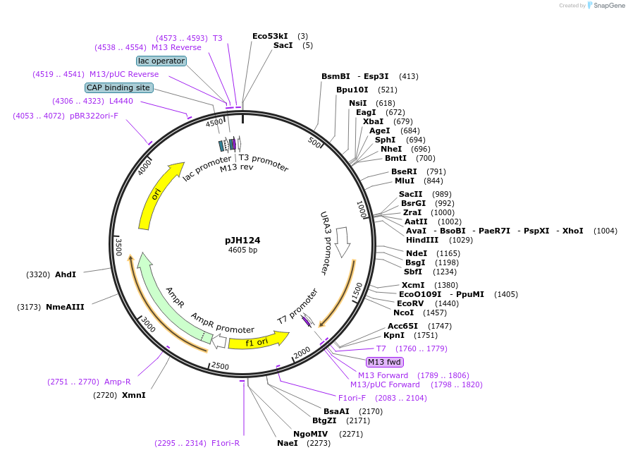 48259-plasmid-map-sequence-id-69693