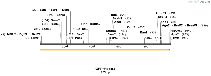 69694_map