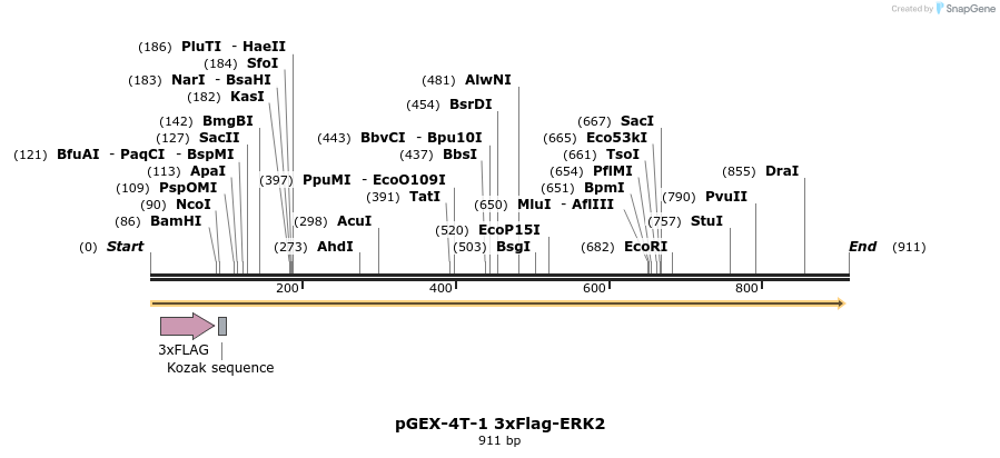 69703_map