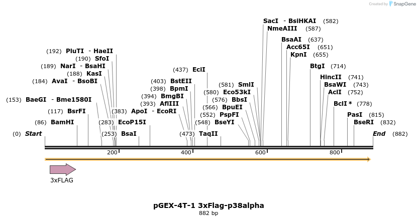 69705_map