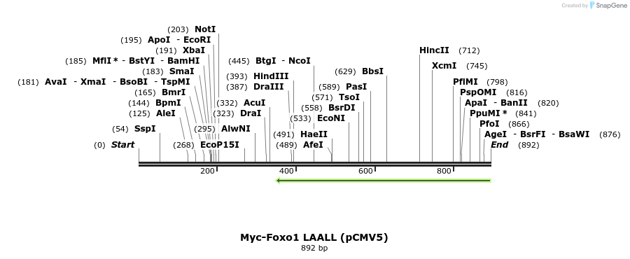 69707_map